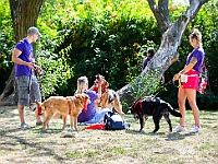 Adoptuj Warszawiaka  Wydarzenie promujące adopcję zwierząt. Organizator: Schronisko dla Bezdomnych Zwierząt "Na Paluchu". 18 sierpnia 2019, Park Raszyński w Raszynie. : park raszyński, adoptuj warszawiaka, na paluchu, schronisko dla zwierząt, centrum warszawy, raszyn